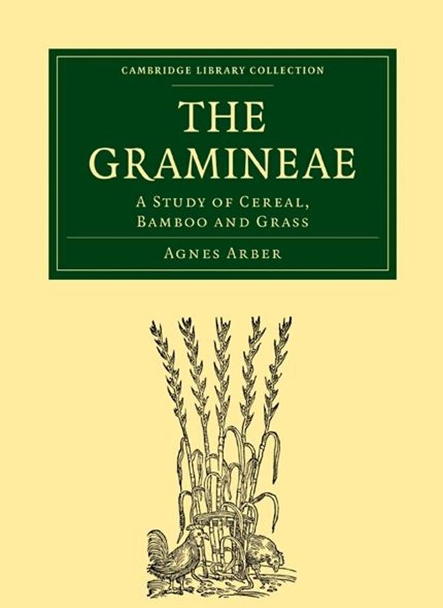  The Gramineae. A study of cereal, bamboo and grass. 1934. (Reprint 2010).212 (1 col.) fig. 504 p. gr8vo. Paper bd. 