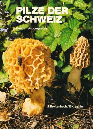 Pilze der Schweiz. Band 1: Ascomyceten. 1981. 390 Arten auf Farbbildern. Zahlreiche Mikrozeichnungen. 313 S. 4to. Gebunden. - In Deutsch.
