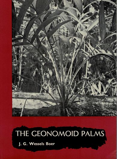 The Geonomid Palms.1968. (Verhandl. Koninkl. Nederl. Ak. Wetens. ,Afd. Natuur., Ser.II, Vol.58:1).10 plates.2 02 p. 4to. Paper bd.