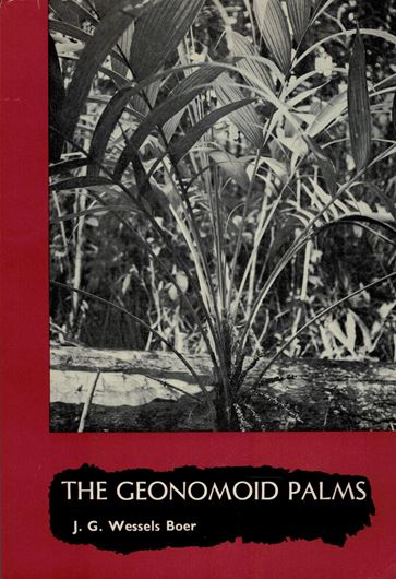 The Geonomoid Palms. 1968. (Verhandelingen der Koninkl.Nederl.Ak. van Wetenschappen, Afd.Natuurk., 2.Series, Part 58:1) 10 plates. 202 p. gr8vo. Paper bd. - Second-hand copy.