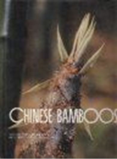 Chinese Bamboos.1988.(Biosystematics, Floristics & Phylogeny Series, vol. 4). 273 colour photos. 6 figs. (line-drawings). 1 map. 120 p. Lex8vo. Hardcover.