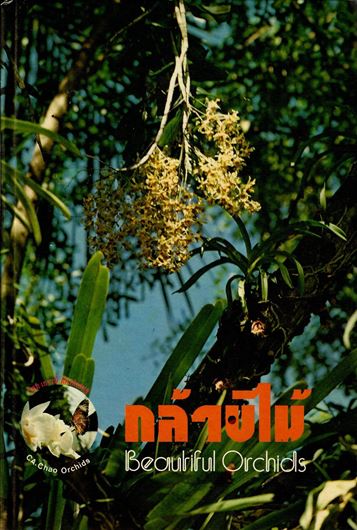 Beautiful Orchids. No year. numerous colour and black & white photos. 1 distrib.map. approx. 80 unpaginated pages. gr8vo. Hardcover. - In Thai and English, with Latin nomenclature and species index.