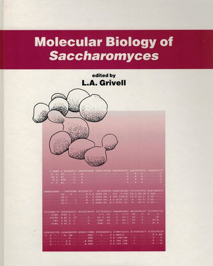 Molecular Biology of Saccharomyces.1992. (Antonie Van Leeuwenhoek, Vol.62:1-2).Illustr. 153 p.gr8vo.Hardcover.
