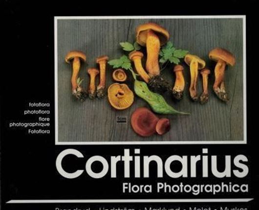 Cortinarius. Flora Photographica. Vol.2.1992. 60 col.plates. 40 p.gr8vo.In Ring-binder.-English language edition.