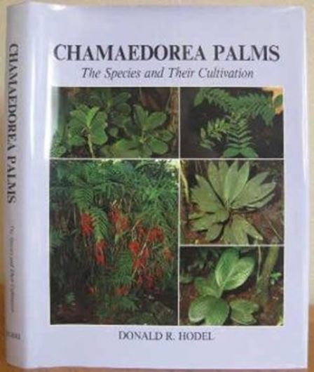 Chamaedorea Palms. The Species and their Cultivation. 1992. 127 col. pls. XIII, 338 p. 4to. 4to. Hardcover.