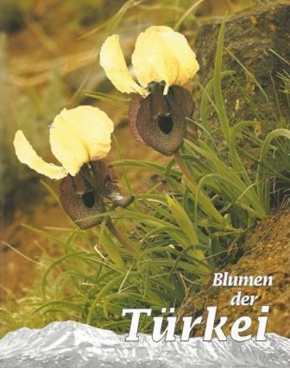 Blumen der Türkei. 1994. (Stapfia 34). illus. 271 S. 4to. Broschiert.