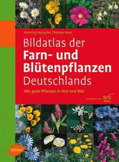 Bildatlas der Farn- und Blüten- pflanzen Deutschlands. 2.rev. Aufl. 2007. 4050 Farbphotogr. 140 Fig. 789 S. 4to. Hardcover.