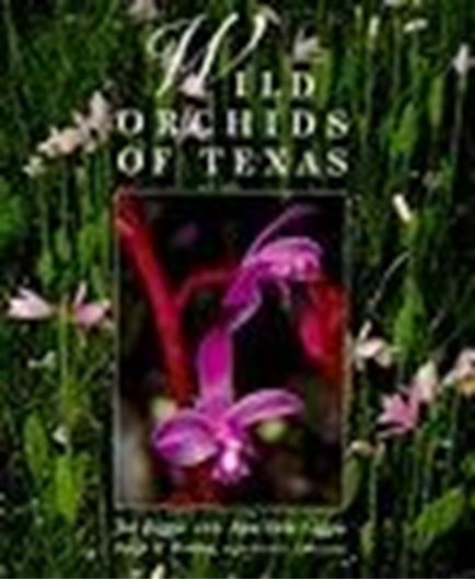 Wild Orchids of Texas. 1999. (The Corrie Herring Hooks Series, 42). 54 maps. Many colour photographs. X, 228 p. gr8vo. Hardcover.
