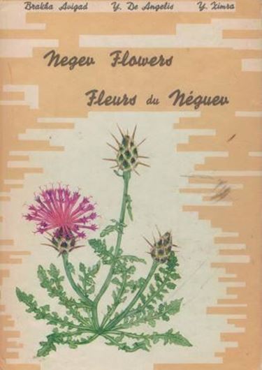  Negev Flowers / Fleurs du Néguev. 1968. 24 col. pls. with bilingual explanations (French / English). gr8vo. Hardcover.