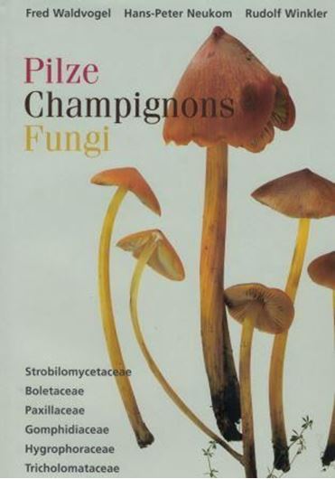 Pilze, Champignons, Fungi. 2001. 200 Farbtafeln. 420 S. 4to. Hardcover.