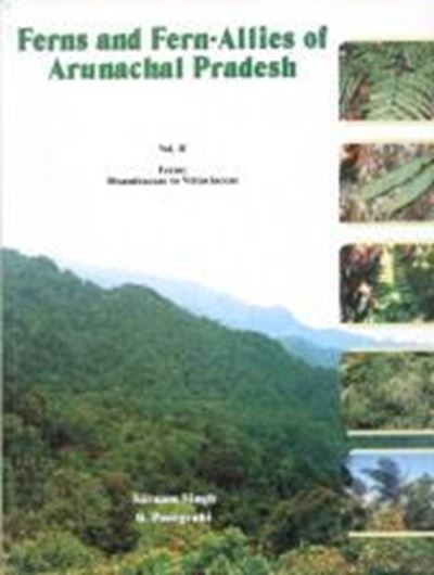 Ferns and Fern - Allies of Anurachal Pradesh, Tirap District (India). 2 volumes. 2005. 227 col. photogr. 55 b/w photographs. 305 line - drawings. XXXVI, 881 p. 4to. Hardcover.
