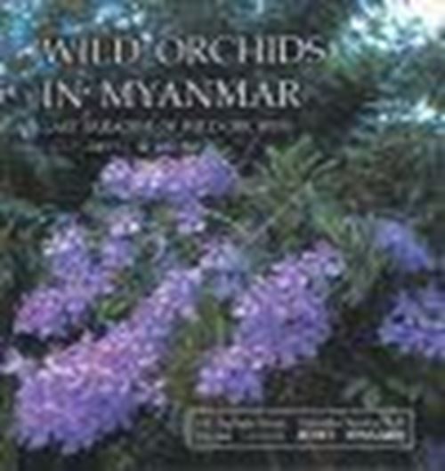 Wild Orchids in Myanmar. Volume 1: Highlight edition. 2003. Many col. photographs. 104 p. 4to. Hardcover. - Bilingual (Japanese / English).