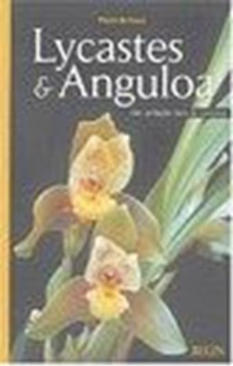 Lycaste & Anguloa. Des orchidées hors du commun. 2004. illus. 191 p. 4to. Softcover.- In French.