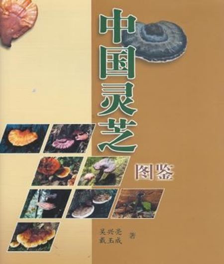 Coloured illustrations of Ganoderma- taceae of China. 2004. illus. (col. photographs, spore micrographs and 48 b/w. photogr.). 229 p. 4to. Hardcover. - In Chinese, with Latin nomenclature and Latin species index.