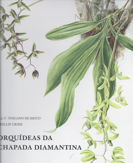 Orquideas da Chapada Diamantina. 2005. 135 line - figs. 155 col. figs. 400 p. 4to.Hardcover. In Portuguese and English.
