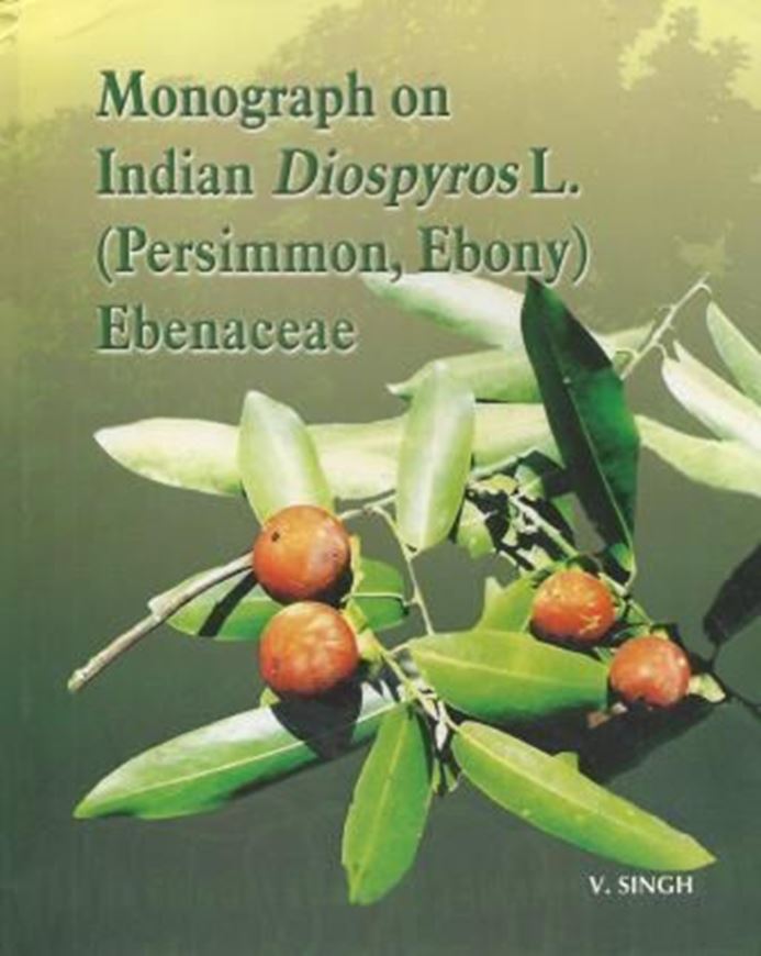 Monograph on Indian Diospyros L. (Persimmon, Ebony), Ebenaceae. 2005. 61 plates (= line drawings). 19 dot maps. 24 col. plates. XXXIV, 323 p. 4to. Hardcover.