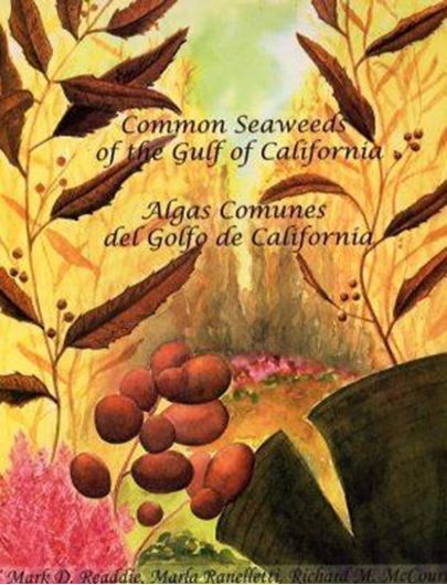  Common Seaweeds of the Gulf of California / Algas Communes del Golfo de California. 2006. illustr. 104 p. gr8vo. Paper bd. - Bilingual (English /Spanish).