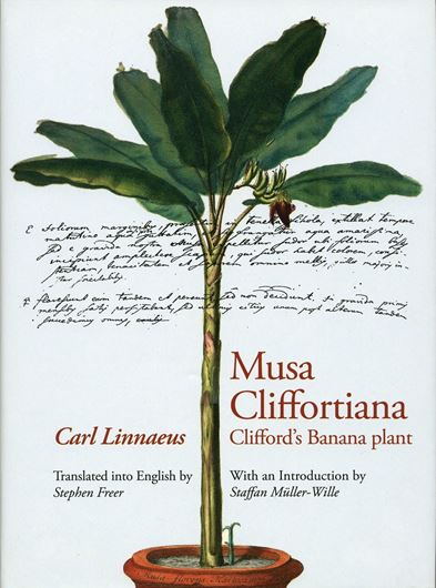 Volume 148: Linnaeus, C.: Musa Cliffortiana. Clifford's Banana plant. Reprint and translation of the original edition Leiden 1736. Translated into English by Stephen Freer, with an Introduction by Staffan Müller - Wille. 2007. (Regnum Vegetabile, 148). 1 col. frontispiece. 264 p. gr8vo. Hardcover. (ISBN 978-3-906166-63-6/ ISSN 0080-0694)