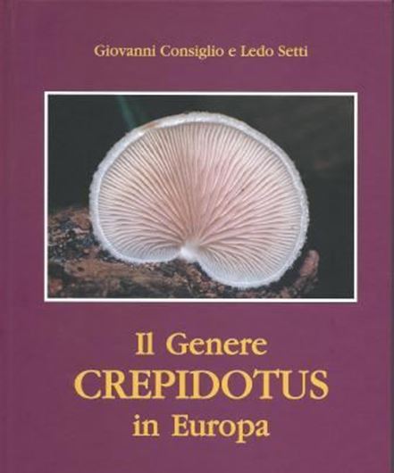  Il Genere CREPIDOTUS in Europa. Con collaborazione di Alfredo Vizzini, Antonio Ortega e Giovanni Robich. 2008. illus. 344 p. gr8vo. Hardcover. - Bilingual (Italian / English). 