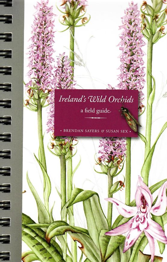 Ireland's Wild Orchids. A field guide. 2008. Approx. 80 full - page water colours. Many additional col. figs. Dot maps. X, 109 p. gr8vo. - Plastic cover, ring - binder.