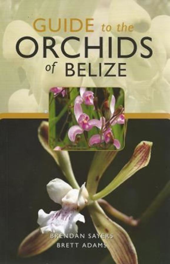 Guide to the Orchids of Belize. 2009. illus. 84 p. Paper bd.