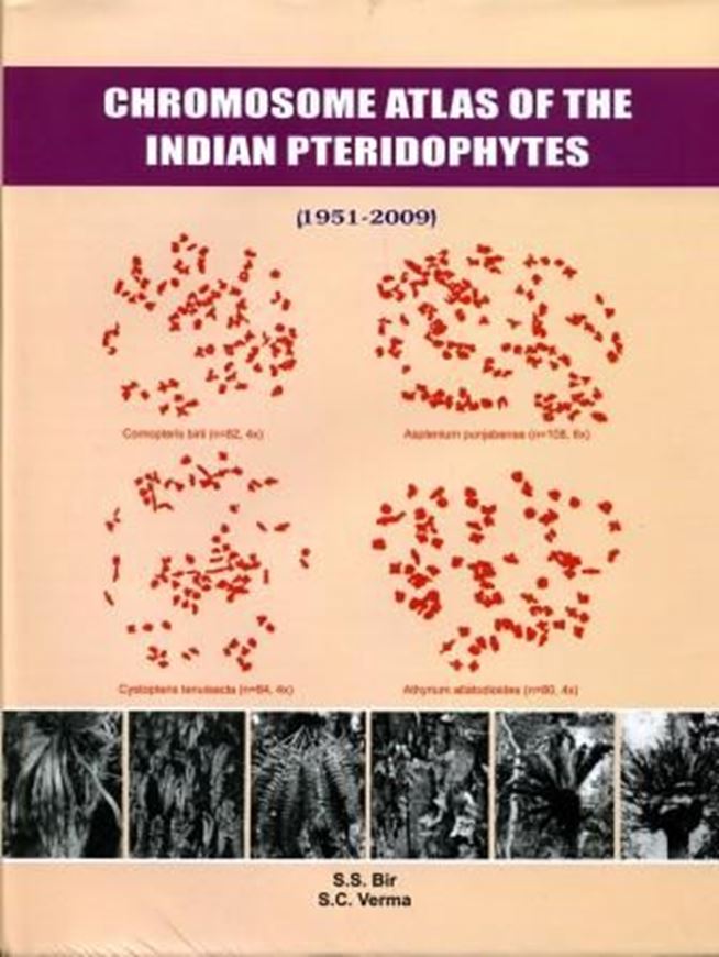 Chromosome Atlas of the Indian Pteridophytes (1951 - 2009). An index to chromosome numbers of ferns and fern - allies of the present - day political India, with information about the related taxa from adjacent regions of Pakistan, Nepal and Bhutan. 2010. 346 p. 4to. Hardcover.