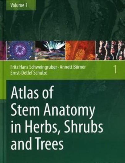 Anatomy of Stems in Herbs, Shrubs and Trees. Volume 1. 2011. col. photogr. VIII, 495 p. 4to. Hardcover.
