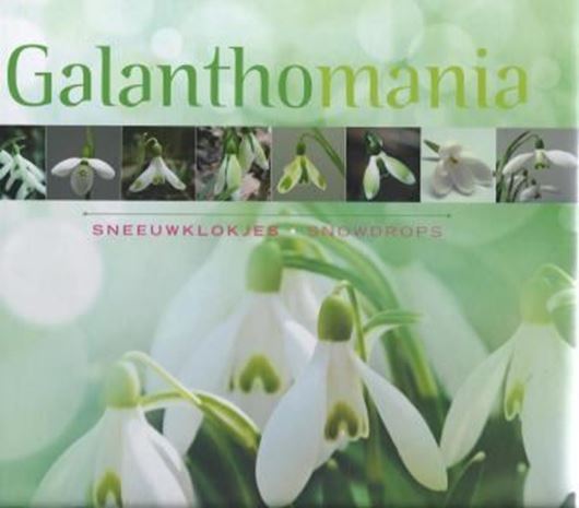  Galanthomania. Sneeuklokjes / Snowdrops. 2011. 100 col. figs. 160 p. gr8vo. Hardcover. Bilingual (Dutch / English). 