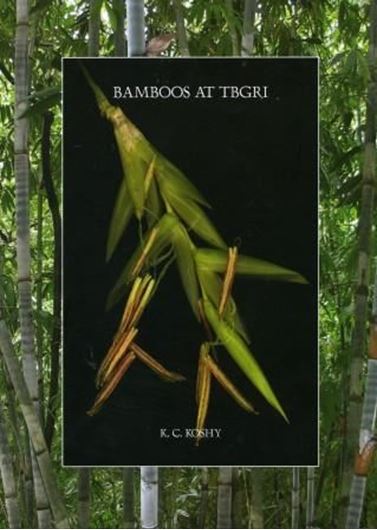  Bamboos at TBGRI. 2010. col. illus. photogr. 104 p. gr8vo. Paper bd.