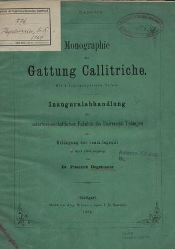  Monographie der Gattung Callitriche. 1864. 4 lithogr. Tafeln. 64 S. 4to. Halbleinen.