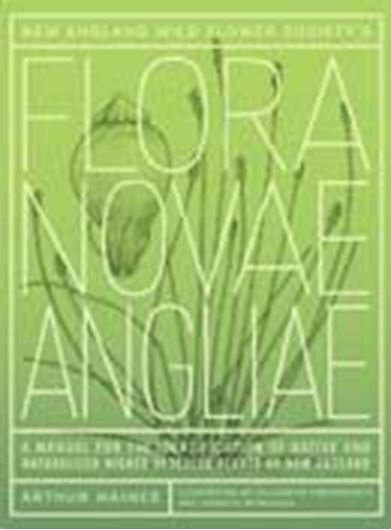  New England Wildflower Society's Flora Novae Angliae. A manual for the identification of native and naturalized vascular plants of New England. 2011. 1000 b&w figs. XXIV, 973 p. gr8vo. Hardcover. 