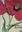 Der Garten von Eichstätt. Das Pflanzenbuch des Basilues Besler. 1634. (Nachdruck 1999) Mit einer Einführung von Klaus Walter Littger und botanischen Erläuterungen von Werner Dressendörfer. 367 Farbtafeln. 463 S. Leinen. 28,5 x 35 cm.