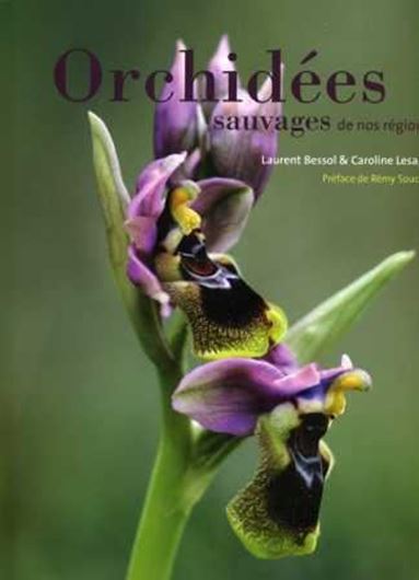  Orchidées sauvages de nos régions. 2011. Approx. 200 (partly full -page) col. figs. 194 p. Hardcover. - 24 x 30.5 cm.
