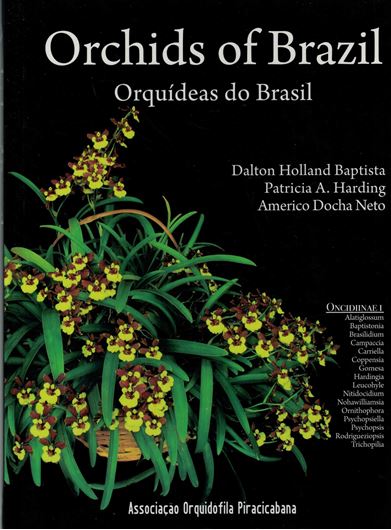 Orchids of Brazil / Orquideas do Brasil: Oncidiinae 1. 2011. approx. 300 col. photographs. 224 p. Hardcover.- Bilingual (English/Portuguese).