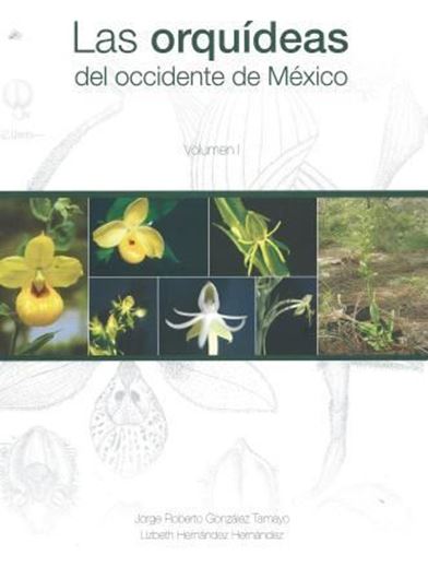 Las Orquideas del occidente de Mexico. Volume 1. 2010. 75 col. photogr. Many full - page line - drawings. XXXI, 303 p. 4to. Paper bd. - In Spanish, with Latin nomenclature and Latin species index.