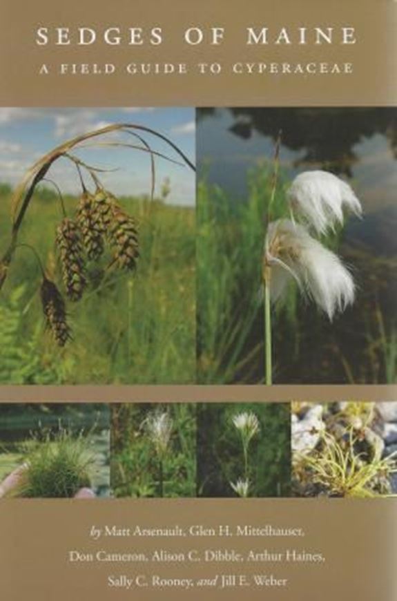 Sedges of Maine. A field guide to Cyperaceae. 2013. Many col. photographs. 712 p. gr8vo. Paper bd.