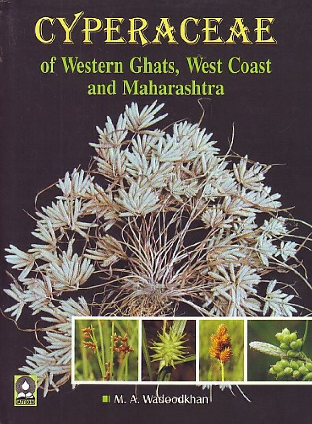 Cyperaceae of the Western Ghats, West Coast an Maharashtra. 2014, 172 col. pls. XXX, 409 p. gr8vo. Hardcover.