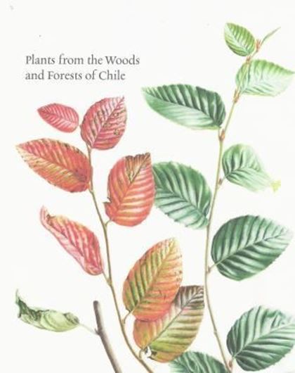  Plants from the Woods and Forests of Chile. 2015. 81 watercolour paintings. Approx. 200 p. Hardcover.English language edition. 42 x 30 cm. In slip case. 