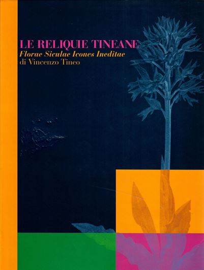 Le Reliquie Tineane. Florae Siculae Icones Ineditae di Vincenzo Tineo. 2000. 93 plates. 213 p. 4to. Hardcover.