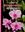 A Guide to Dendrobium of Australia. 2015. illus. X, 150 p. Paper bd.