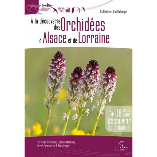 A la découverte des orchidées d'Alsace et de Lorraine. 2016. (Collection Parthénope). illus. 376 p. gr8vo. Paper bd.