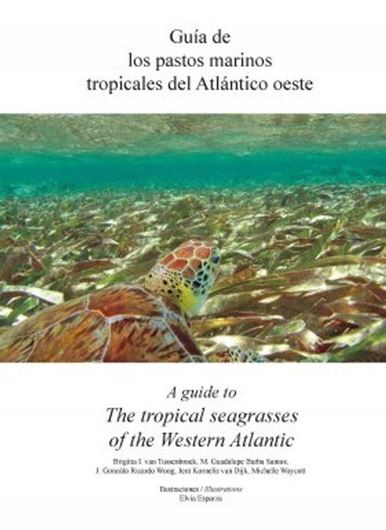 Guia de los Pastos Marinos Tropicales del Atlantico Oeste / A Guide to the Tropical Seagrasses of the Western Atlantic. 2010. illus. (=col. figs. & distr. maps). 75 p. Bilingual (English / Spanish.