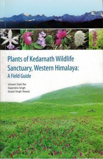Plants of Kedarnath Wildlife Sanctuary, Western Himalaya. A field guide. 2017. Many col. photogr. IV, 393 p. gr8vo. Paper bd.