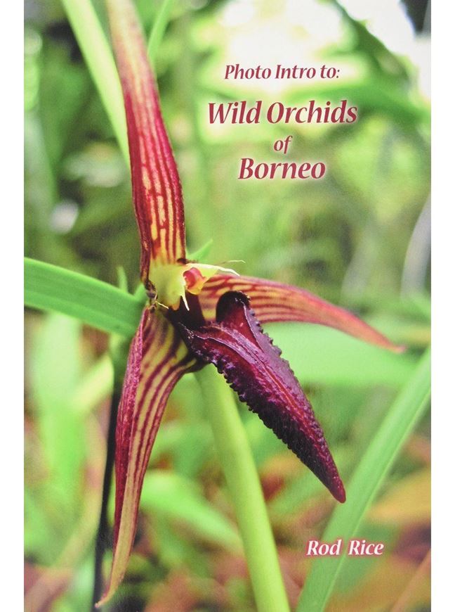 Photo Intro to Wild Orchids of Borneo. 2017. 227 col. photogr. 96 p. Paper bd.