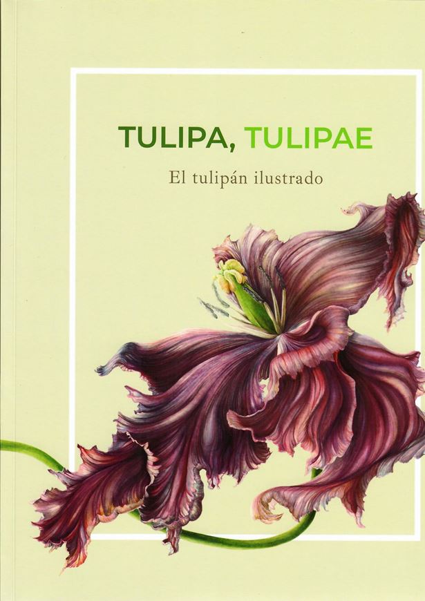 Tulipa Tulipae. El Tulipan Ilustrado. 2018. Many col. figs. 222 p. 4to. Paper bd. - In Spanish & 24 pages of English abstracts.