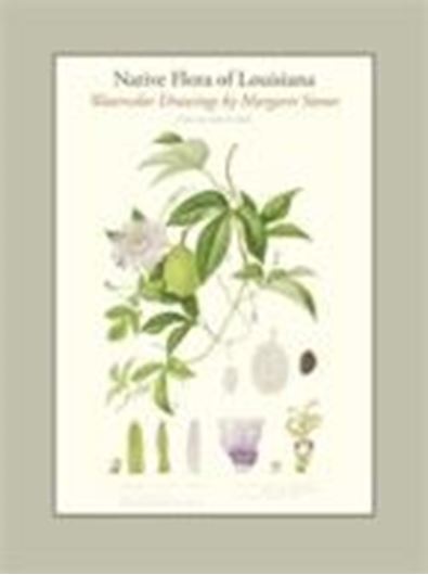  Native Flora of Louisiana. Watercolor Drawings by Margaret Stones. With Botanical Descriptions by Lowell Urbatsch. 2018. 226 colore plates. 480 p. gr8vo. Hardcover.