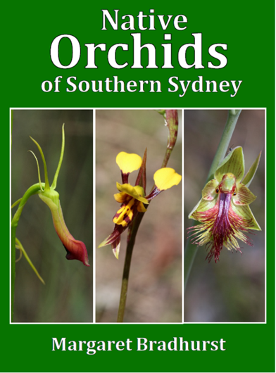 Native Orchids of Southern Sydney. 2016. 185 col. photogr. 70 p. gr8vo.
