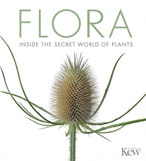 Inside the Secret World of Plants. 2018. ca. 15 col. photogr. 440 p. Hardcover.