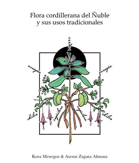 Flora cordillerana del Nuble y sus usos tradicionales. 2017. illus. 196 p. gr8vo. - In Spanish.
