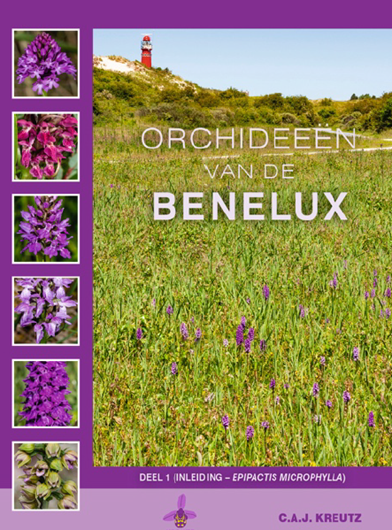 Orchideeen van de Benelux. 2 volumes. 2019. Many col. photogr and additional watercolors by Wolfgang Plecher (München). 1296 p. Hardcover.- In Dutch, with Latin nomenclature.